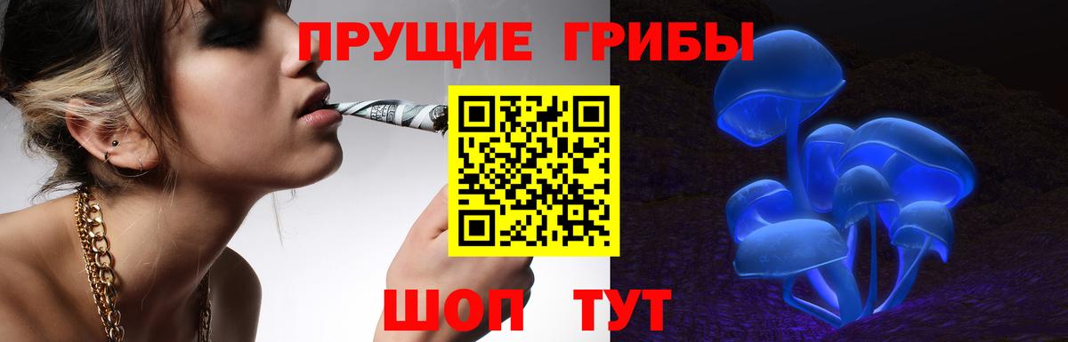 Якутск  Псилоцибиновые грибы Psilocybe  Галлюциногенные грибы мухоморы  Вход с VPN 